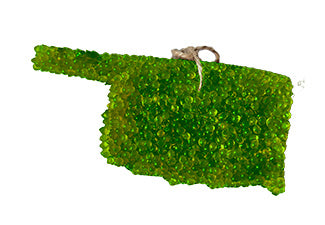 Amber Logger Oklahoma Air Freshener